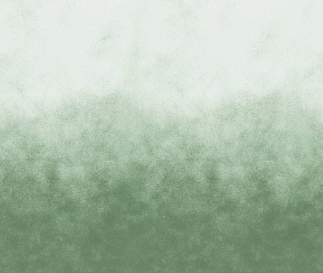 Rebel Walls R18753 Natural Aesthetic Ash Gradient Green - mural gradient