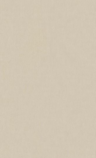 Tapeta BN Texture Stories 43804