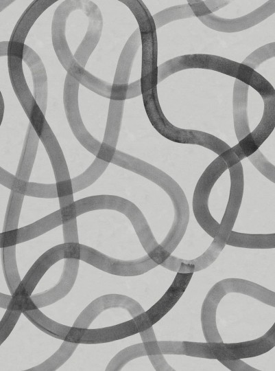 Rebel Walls R18746 Natural Aesthetic Serpentine Gray - mural w serpentyny