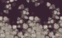 b50c253b15ef9e0e89e4fd673b5b4adb