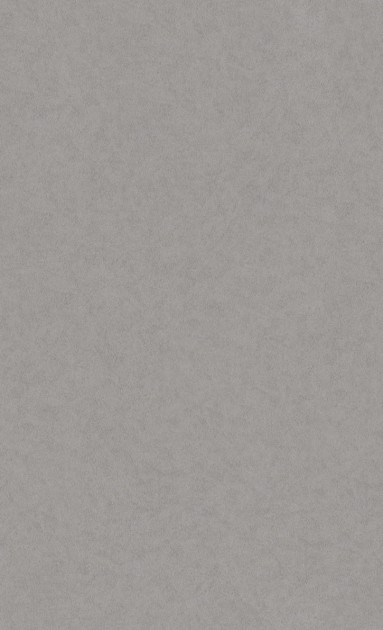 Tapeta BN Texture Stories 49350