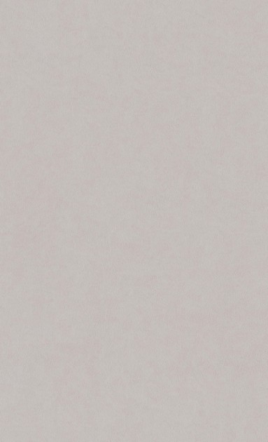 Tapeta BN Texture Stories 49356