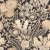 f3684a2899051b6038d7a062ded64f52