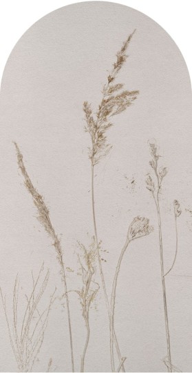 Wall Art Campo Di Avena - mural łuk w źdźbła owsa