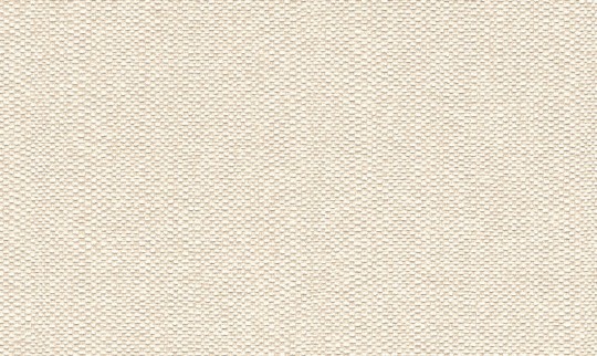 Tapeta Rasch Textil Abaca 229249