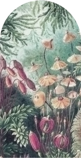 Wall Art Fairytale - mural łuk z motywem lasu