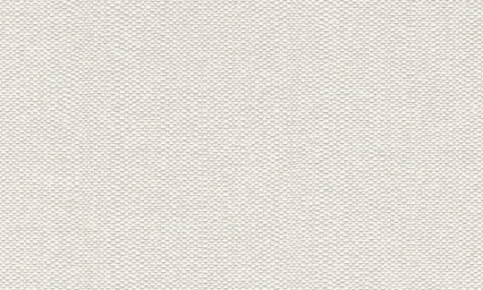 Tapeta Rasch Textil Abaca 229256