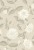 5531a0129ac1be16a85dd92764c0b53a