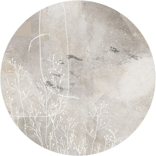 Wall Art Anetum - mural koło w rośliny na betonowym tle