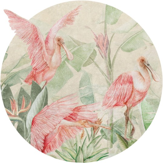 Wall Art Rainforest Ajaja - mural koło we flamingi