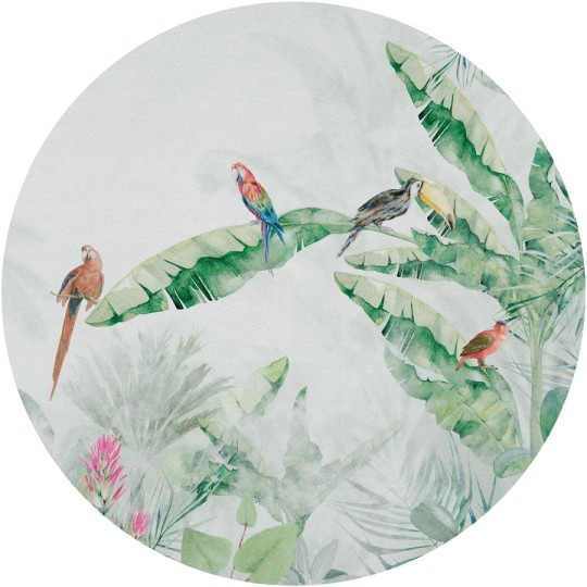 Wall Art Jungle Vivid II - mural koło w papugi i rośliny