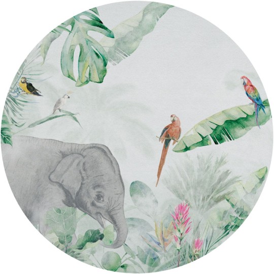 Wall Art Jungle Vivid I - mural koło w słonia i ptaki