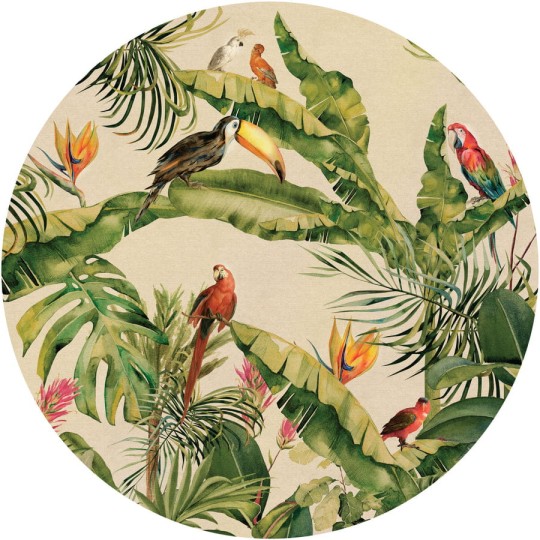 Wall Art Jungle II - mural koło w papugi i rośliny