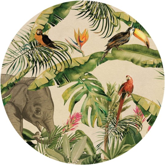 Wall Art Jungle I - mural koło w słonia i ptaki