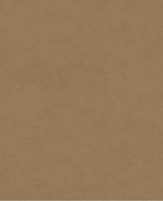 f9c93b0ea73c7cf8f1deace8de1fd8e3