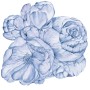 526c9e173a91f0adadabe92fe877e803