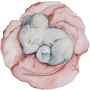 d23c71d297ffbf66412676d93a4f6e2e