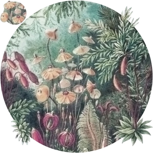 Wall Art Fairytale - mural koło w roślinny motyw