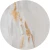 Diana_kolo_1296x.jpg.webp