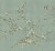 d3bb1cd47b96266da880f3d349aa3026
