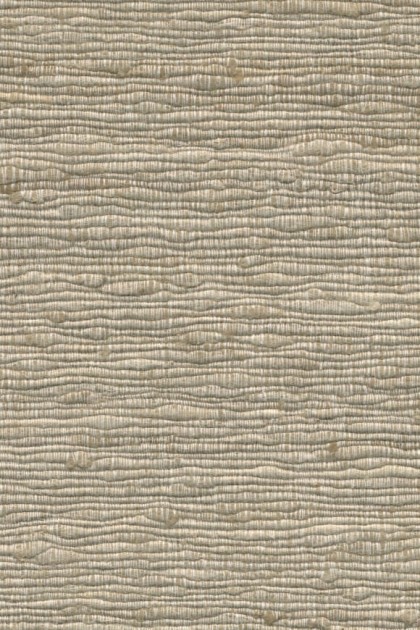 Arte 86504 Wild Silk Katia Silk Ecru - tapeta z jedwabiu i bawełny