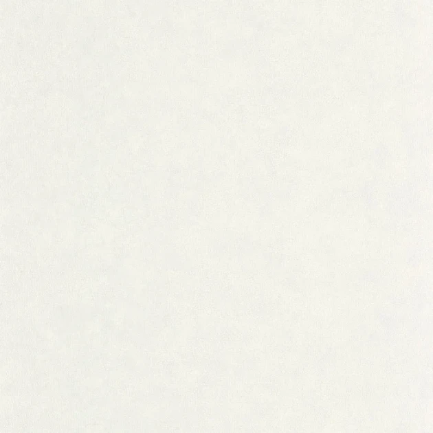 Caselio 105249000 Ceramique Uni Mat Gris Etain - matowa tapeta w odcieniu brudnej bieli