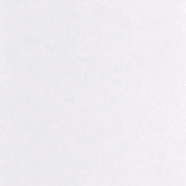 Caselio 105249110 Ceramique Uni Mat Gris Perle - matowa tapeta w odcieniu perłowym