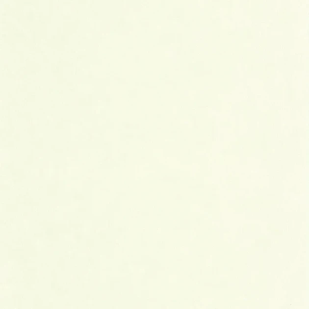 Caselio 105247110 Ceramique Uni Mat Vert Celadon - matowa tapeta biała