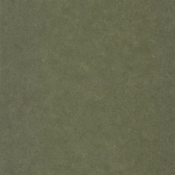 208bed5bc19b4a583a895c4ede4915da