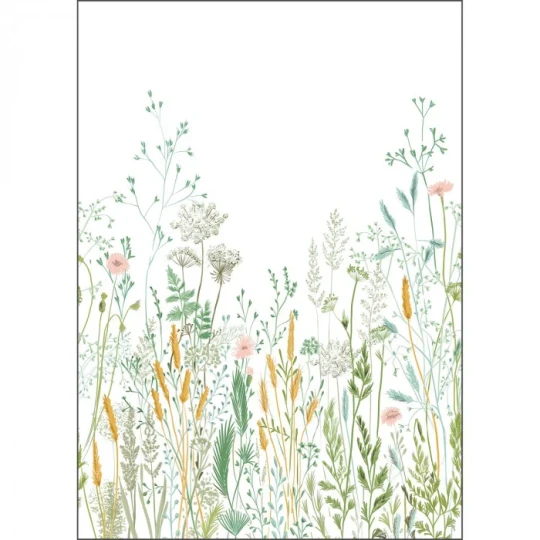 Caselio 105390405 Green Life 2 Herbarium Multicouleurs S - mural w kwiaty na łące