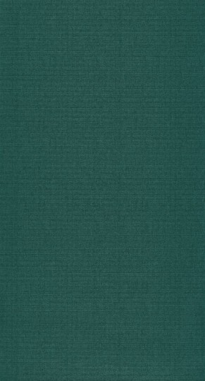 Tapeta Casadeco Helsinki HELS 8207 73 10 Resolution Vert