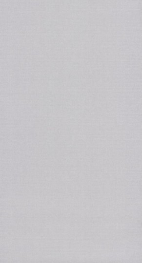 Tapeta Casadeco Helsinki HELS 8207 91 31 Resolution Gris