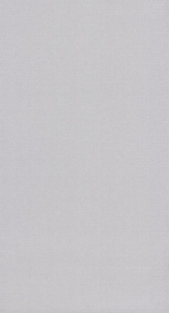 Tapeta Casadeco Helsinki HELS 8207 91 31 Resolution Gris