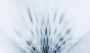 e735129eb7ce8c68f671c1557799a135