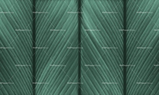 Wallpepper WP-118-A 2024 Venature - mural w paski