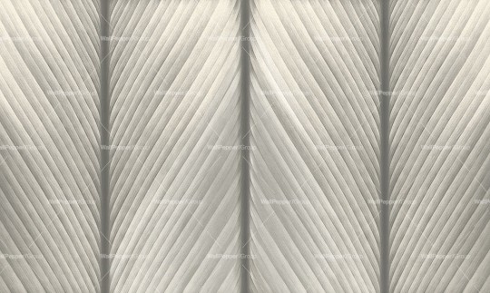 Wallpepper WP-118-B 2024 Venature - mural w paski