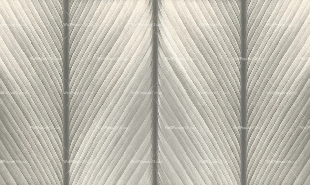 Wallpepper WP-118-B 2024 Venature - mural w paski