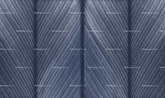 Wallpepper WP-118-C 2024 Venature - mural w paski