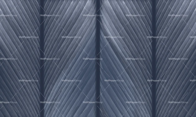 Wallpepper WP-118-C 2024 Venature - mural w paski