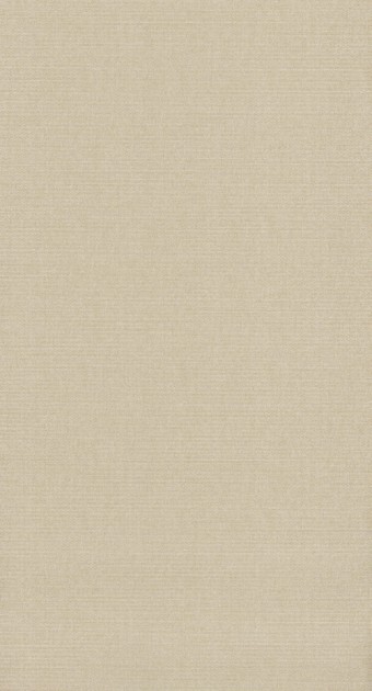 Tapeta Casadeco Helsinki HELS 8207 12 34 Resolution Beige2