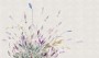 511be3ce04ef1fc9d75a2d833cf179e2