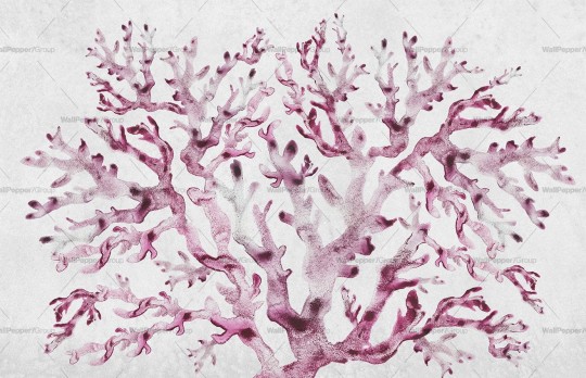 Wallpepper MD-15-B 2024 Coral tree - mural w drzewo