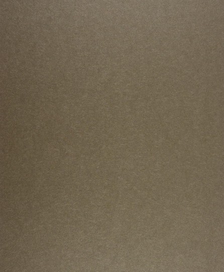 Tapeta Casadeco Helsinki HELS 1640 13 07 Uni Beige