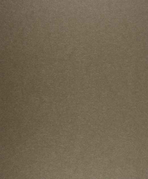 Tapeta Casadeco Helsinki HELS 1640 13 07 Uni Beige
