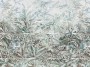 4782e00164d9496fd73750bdc04a2186