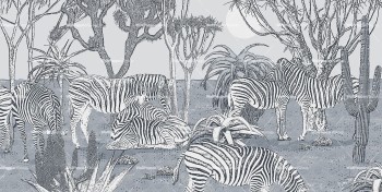 733e69d02601f3d887aa7b62bea1fe3f