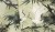 b6696ef917e35b58960869a313d69f54