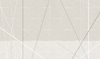 d8c538bad3383e5aa706a0102bdd3735
