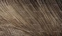 12d890650ad67bd826644153461f1b6e