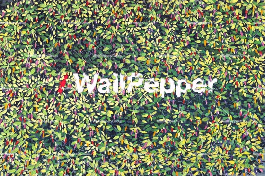 Wallpepper MD-16-TY-A 2024 Pepper Deep - mural w roślinny motyw